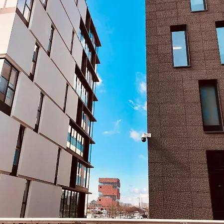 Bacchus - Rooms&apartments