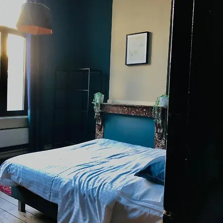 Bacchus - & Hotel apartamentowy Antwerpia