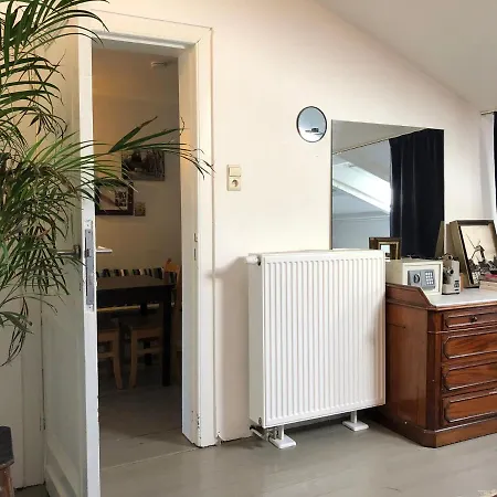 Hotel apartamentowy Bacchus - &