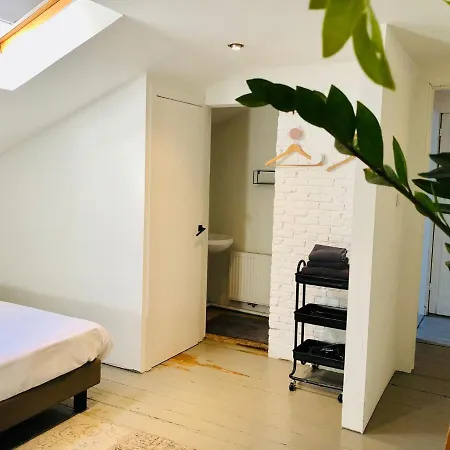 Bacchus - & Hotel apartamentowy 2*