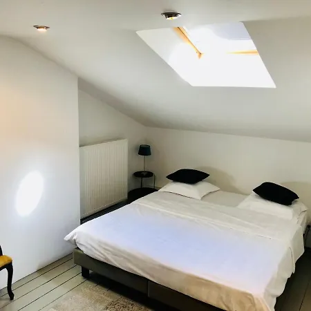 Bacchus - & Hotel apartamentowy